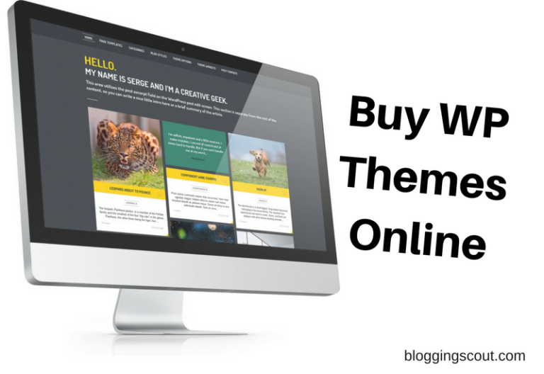buy-wp-theme-online